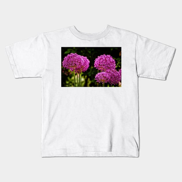 Allium Flowers Kids T-Shirt by JimDeFazioPhotography